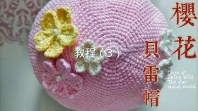 钩花视频教程成人 第1张 钩花视频教程成人 第1张