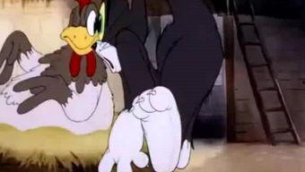 猫变成成人的视频动漫,猫咪成人的奇幻之旅  第1张