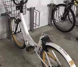 自行车成人越狱视频,自行车助力成人成功逃脱  第2张