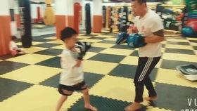 成人搏击压腿视频  第1张