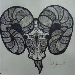 成人线描画初学视频,轻松掌握线条魅力  第1张