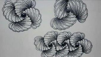 成人线描画初学视频,轻松掌握线条魅力  第3张