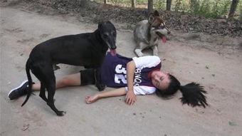 狗变成人的感动视频,狗狗变人的感人瞬间  第3张